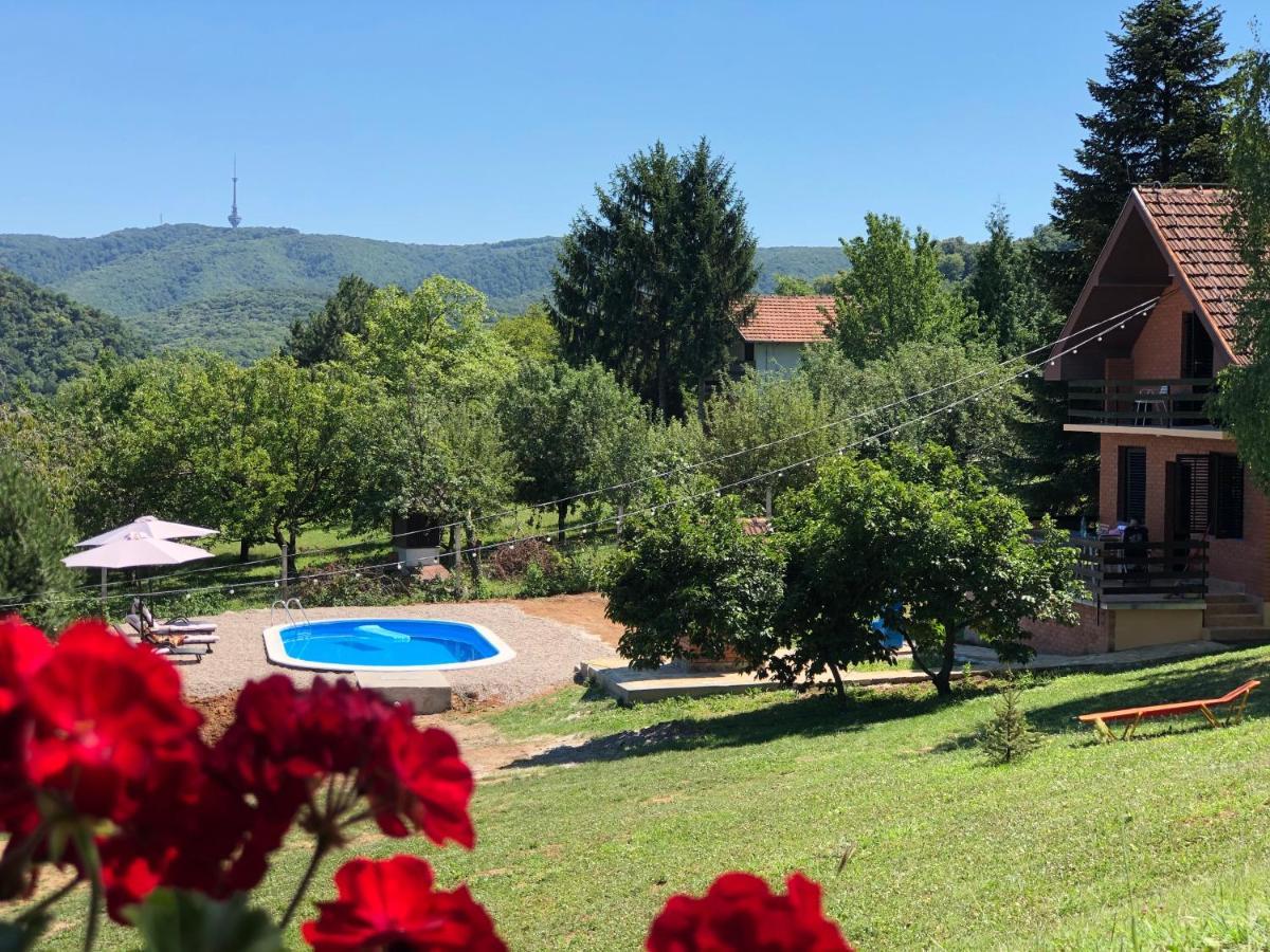 Fruska Pool House Vila Sremska Kamenica Exterior foto