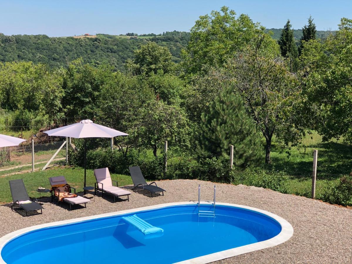 Fruska Pool House Vila Sremska Kamenica Exterior foto