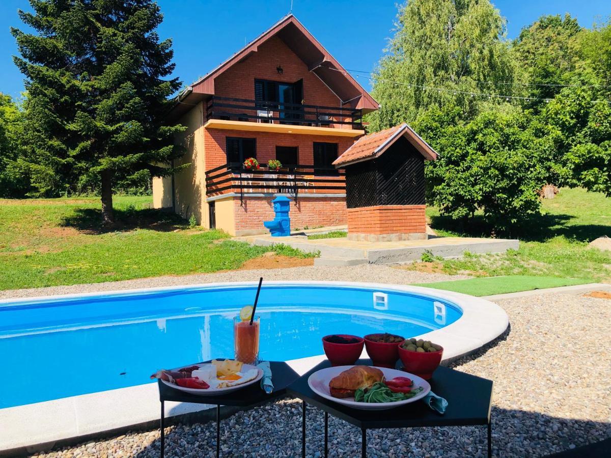 Fruska Pool House Vila Sremska Kamenica Exterior foto