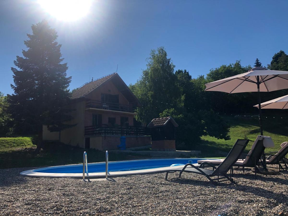 Fruska Pool House Vila Sremska Kamenica Exterior foto