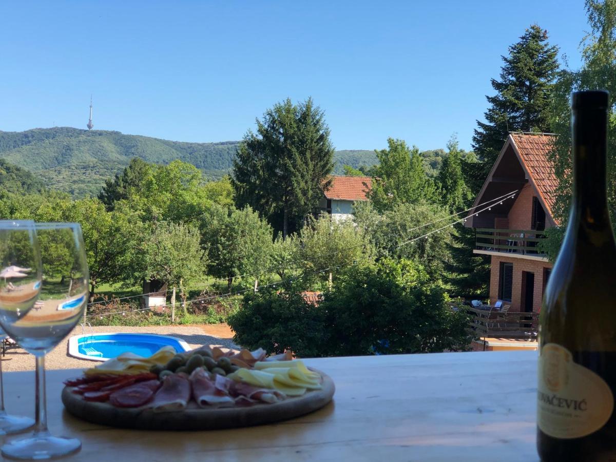 Fruska Pool House Vila Sremska Kamenica Exterior foto
