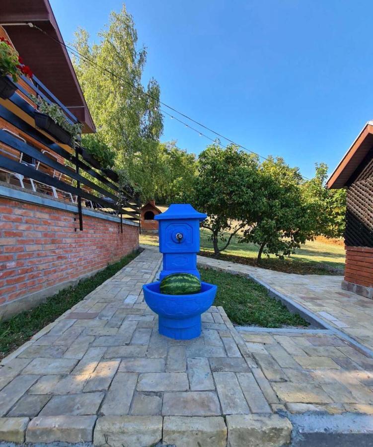 Fruska Pool House Vila Sremska Kamenica Exterior foto