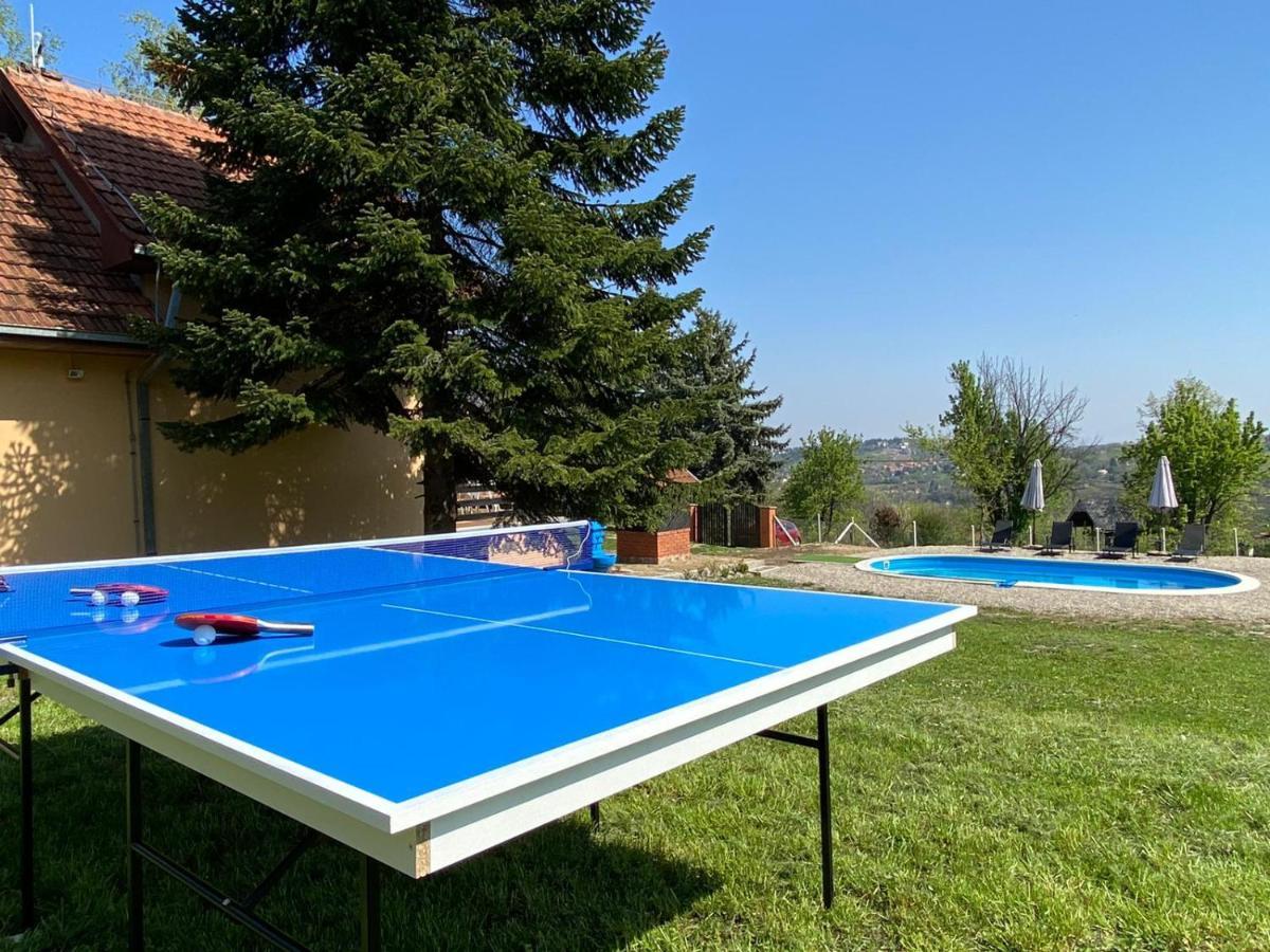 Fruska Pool House Vila Sremska Kamenica Exterior foto