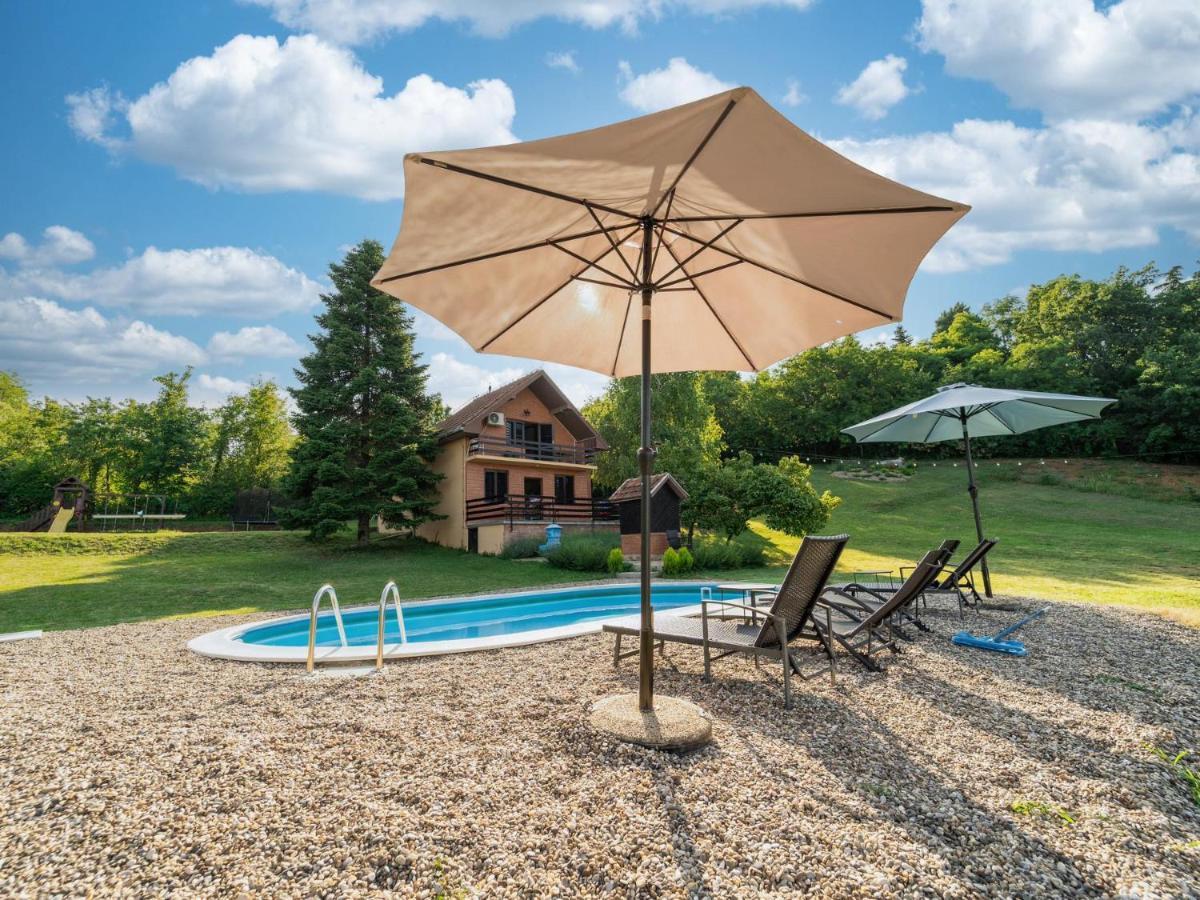 Fruska Pool House Vila Sremska Kamenica Exterior foto