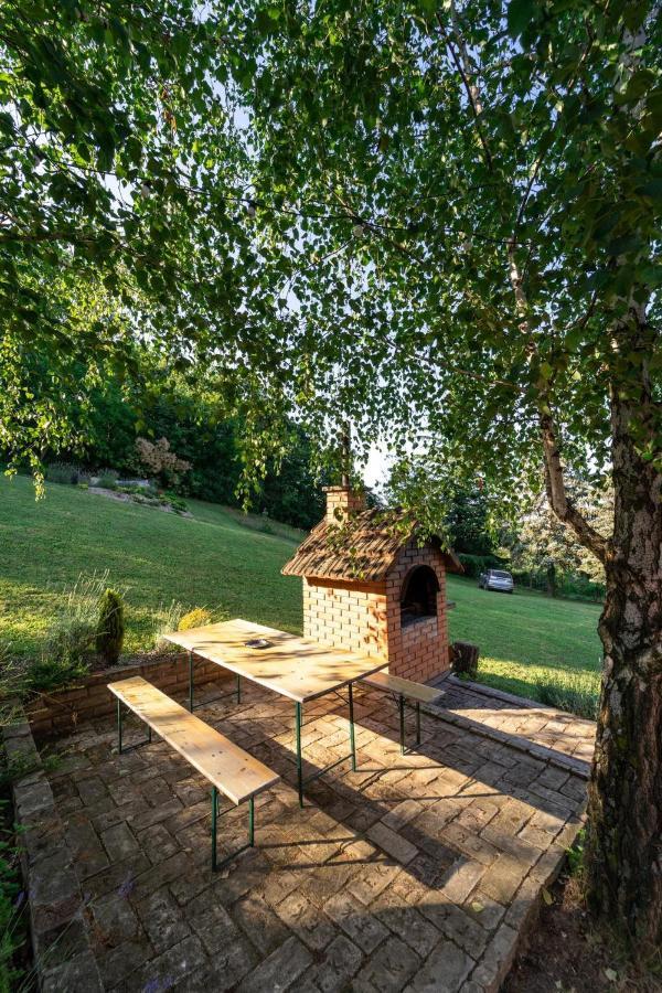 Fruska Pool House Vila Sremska Kamenica Exterior foto