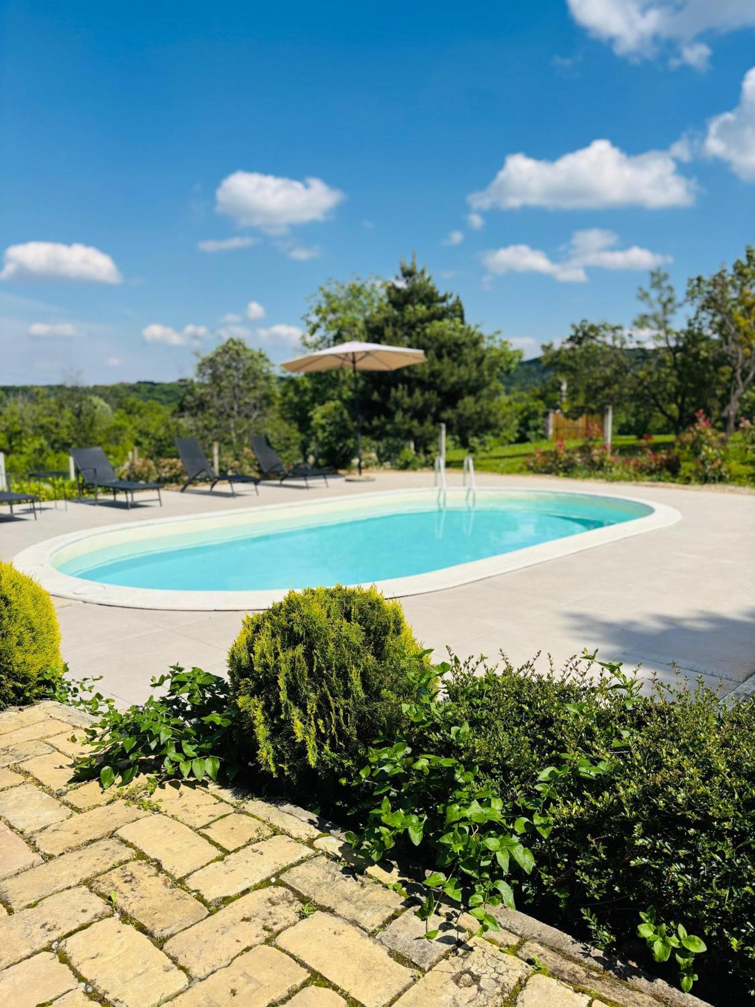 Fruska Pool House Vila Sremska Kamenica Exterior foto