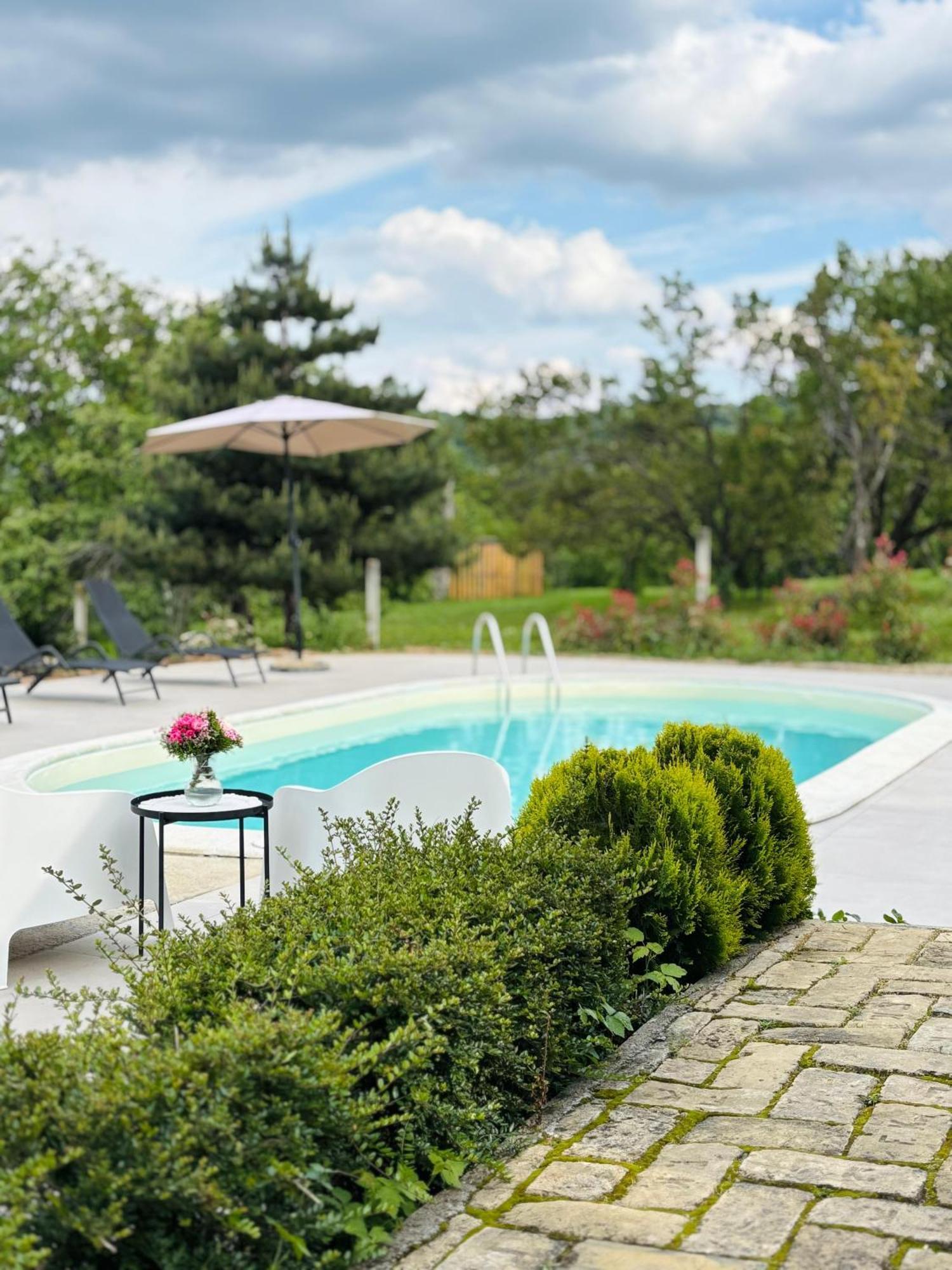 Fruska Pool House Vila Sremska Kamenica Exterior foto