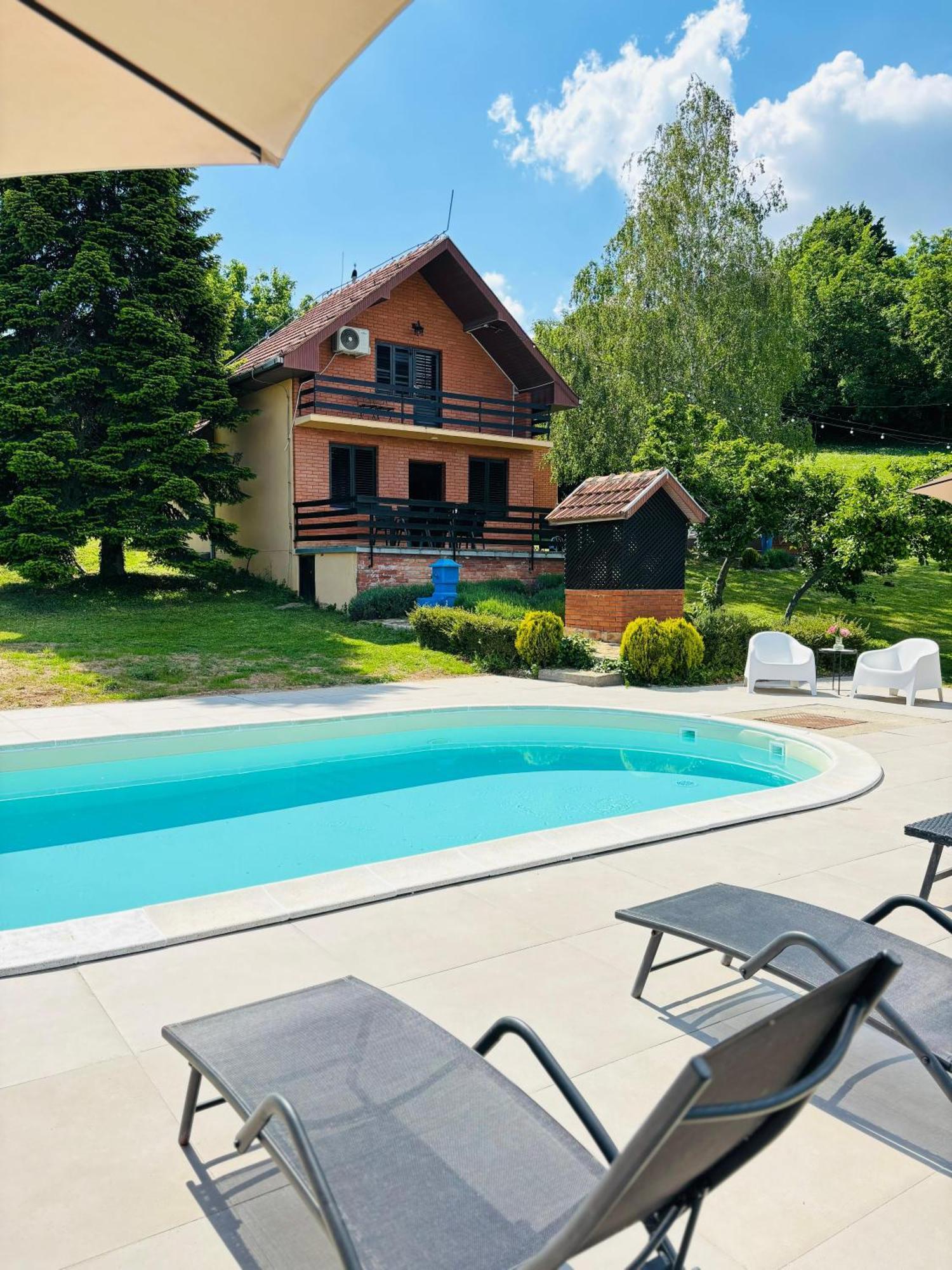 Fruska Pool House Vila Sremska Kamenica Exterior foto
